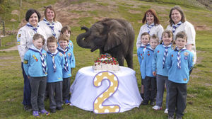 Sutton posing with his cake and the KD9 beaver scout section from Kidderminster