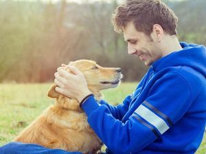 Supporting image for story: Why owning a dog might help you live longer