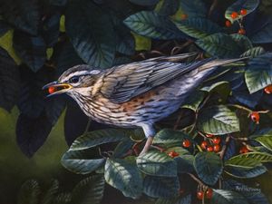 Supporting image for story: The time to prepare for winter’s chills: Wildlife artist Ben Waddams reveals that November is a time of transformation.