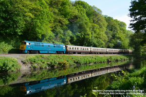 D1015 'Western Champion' along the River Dart on its last outing with Vintage Trains in May 2025