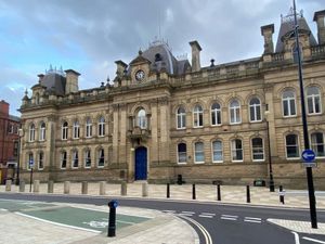 Supporting image for story: Walsall man who attacked two tiny kittens gets court date for sentencing