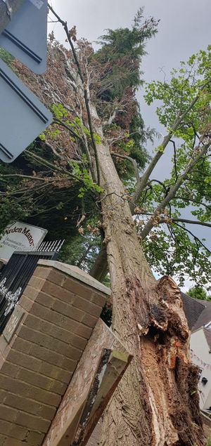 The first bit toppled over the entrance way of Arden Court