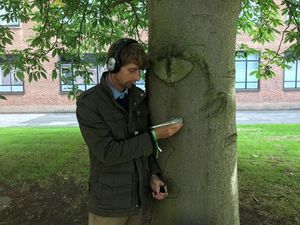 Supporting image for story: ‘Tree listener’ comes to British Science Festival