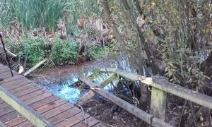 The damage to the boardwalk