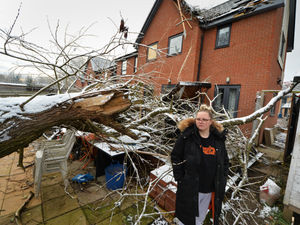 Supporting image for story: Schoolgirl showered by broken glass as tree falls into house during Storm Arwen
