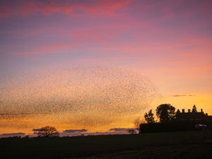 Photo taken by Andrew Fusek Peters, pro wildlife photographer