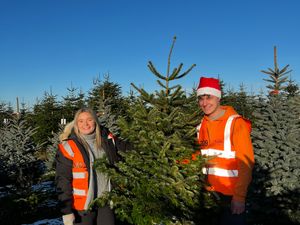 Supporting image for story: St Giles Hospice brings back Christmas tree collection for 2026