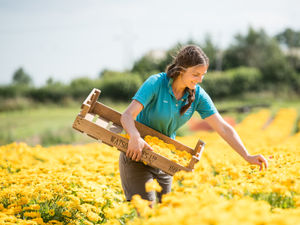 Supporting image for story: Blossoming wedding sector leads to huge harvest for Newport confetti company