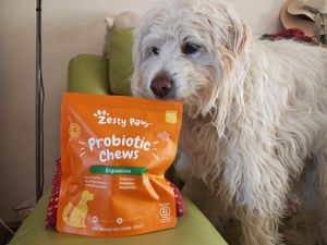 Rupert can't wait for his daily dose of probiotics