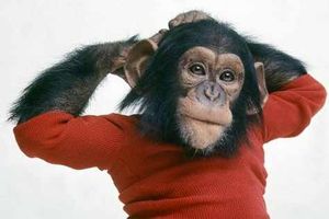 Supporting image for story: Busy September for Wolverhampton's Light House