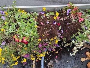 Supporting image for story: Planter near market hall 'ripped from railings' in town's latest vandalism attack