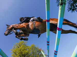 Supporting image for story: Ellesmere brothers set to represent GB at international show jumping event in Portugal