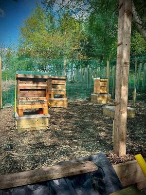 Bee Hives at Whatfside