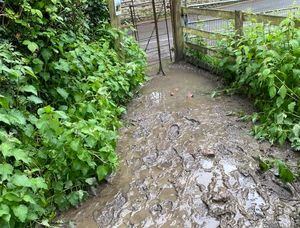 Supporting image for story: Councillor wants to clear up mucky Much Wenlock path