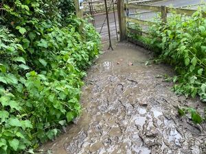 Supporting image for story: Councillor wants to clear up mucky Much Wenlock path