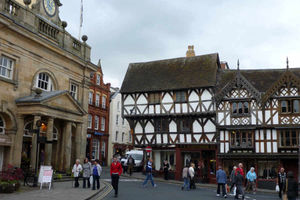 Supporting image for story: Constituency profile: Ludlow - Challenge to predict vote on huge patch