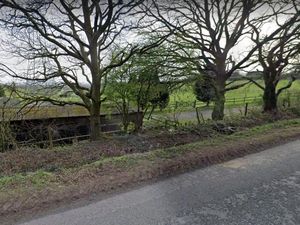 Supporting image for story: 'Concerns' for horse riders as doggy nursery proposed for Walsall green belt land