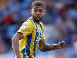 Supporting image for story: Shrewsbury Town striker Rekeil Pyke isolating after testing positive for Covid-19