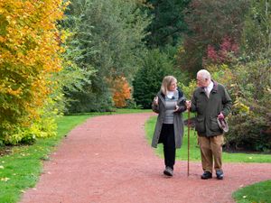 Supporting image for story: King to discuss passion for environment on This Natural Life Christmas special