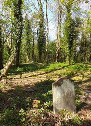 A similar view today.