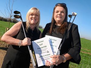 Supporting image for story: Golf clubs looking at new ways to survive