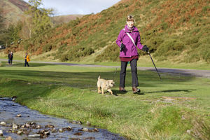Dog walking at Carding Mill Valley. Picture: National Trust Images - Chris Lacey
