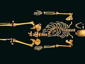 Supporting image for story: Best of Peter Rhodes - February 8