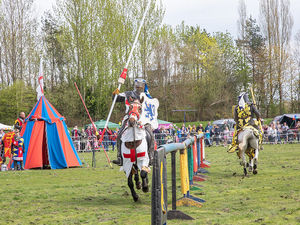 Supporting image for story: Jousting and dog shows on offer this weekend at St George's Day event in Telford