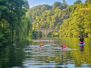 Supporting image for story: Next steps for campaign to get bathing water status for popular Shropshire River Severn swim spots
