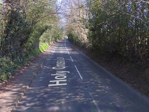 Supporting image for story: Pilot spiralled towards ground 'like a falling sycamore leaf'