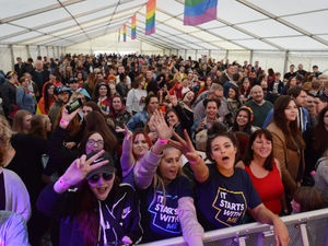 Supporting image for story: Wolves Pride postponed until 2019