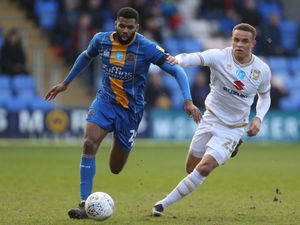 Supporting image for story: Shrewsbury Town 1 MK Dons 1 - Report and pictures