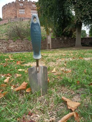 A community dig will take place in Tamworth 