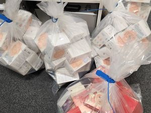 Supporting image for story: Almost 100 fake Labubu dolls with 'serious risk to children' seized from Dudley shop