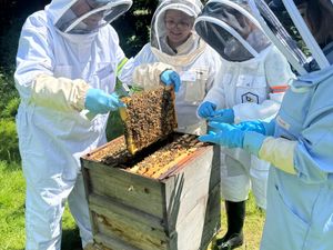 South Staffordshire & District Beekeepers Association look after honeybee colonies at their Shugburough Hall teaching apiary