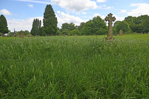 The long grass at the cemetery