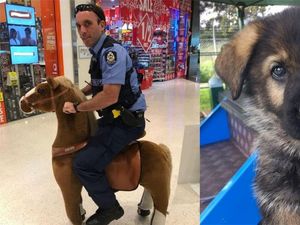 Supporting image for story: 14 times Australian police proved they have the best Twitter game in the world