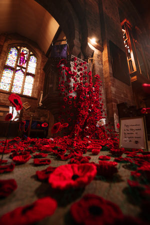 A beautiful Poppy display has been created by members of Shropshire WI and is on display at Shrewsbury Abbey this month..