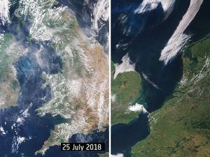Supporting image for story: See the UK turn from green to brown in one month in pictures taken from space