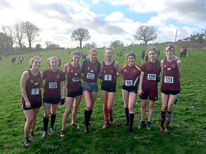 Supporting image for story: Liam Rawlings races to more county glory