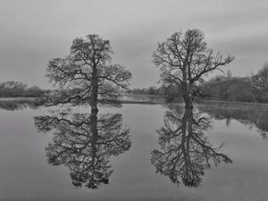 Supporting image for story: Reflecting on a soggy Shropshire Christmas