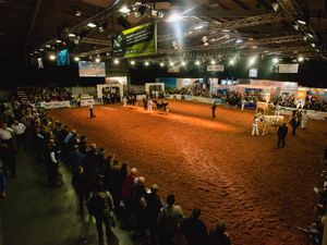 Supporting image for story: Southwater Event Group celebrates growth in revenue