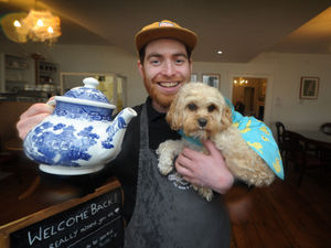 Supporting image for story: Much Wenlock cafe named Shropshire's most dog-friendly venue
