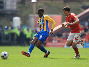 Supporting image for story: Charlton 2 Shrewsbury 0 - Player Ratings 