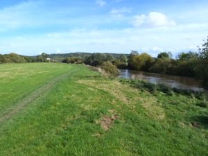 Supporting image for story: Shrewsbury meadows project nearly completed
