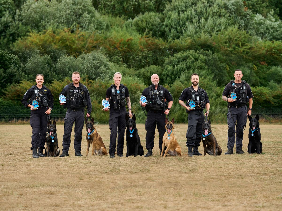 Police dog team pelted with bricks and fireworks by rioters receives award