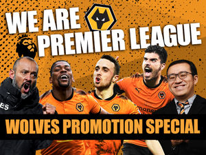 Supporting image for story: Wolves are going up: Read our special promotion supplement here