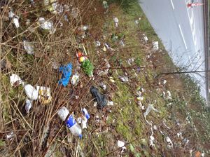 Workers spent two days picking up 96 bags of rubbish on the A41 in West Bromwich