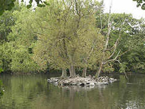 Supporting image for story: Mystery as teen dies