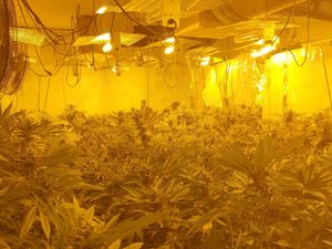 Supporting image for story: Huge drugs hoard discovered in Walsall raid